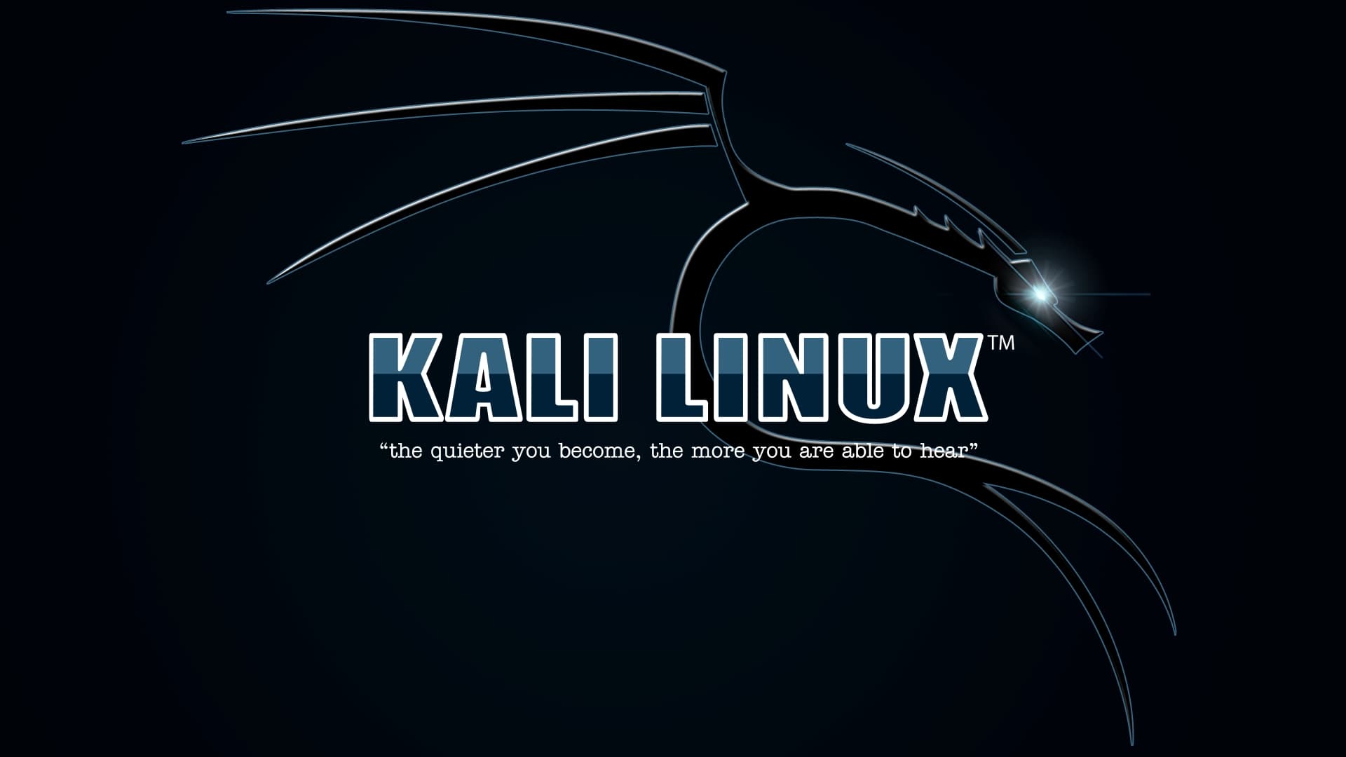 No wifi after installing Kali?